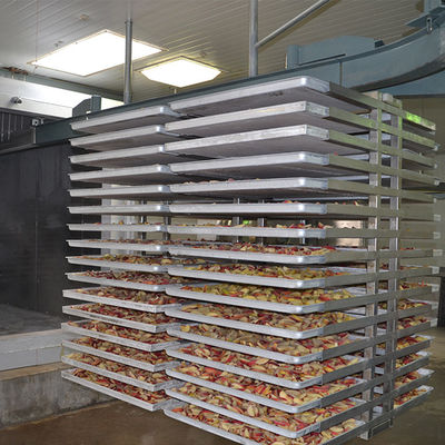 Wielofunkcyjna automatyczna maszyna do liofilizacji 500 kg